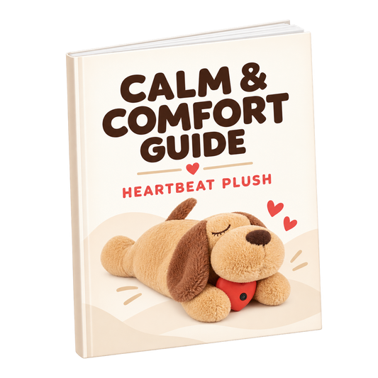 NeatlyLife Calm & Comfort Guide